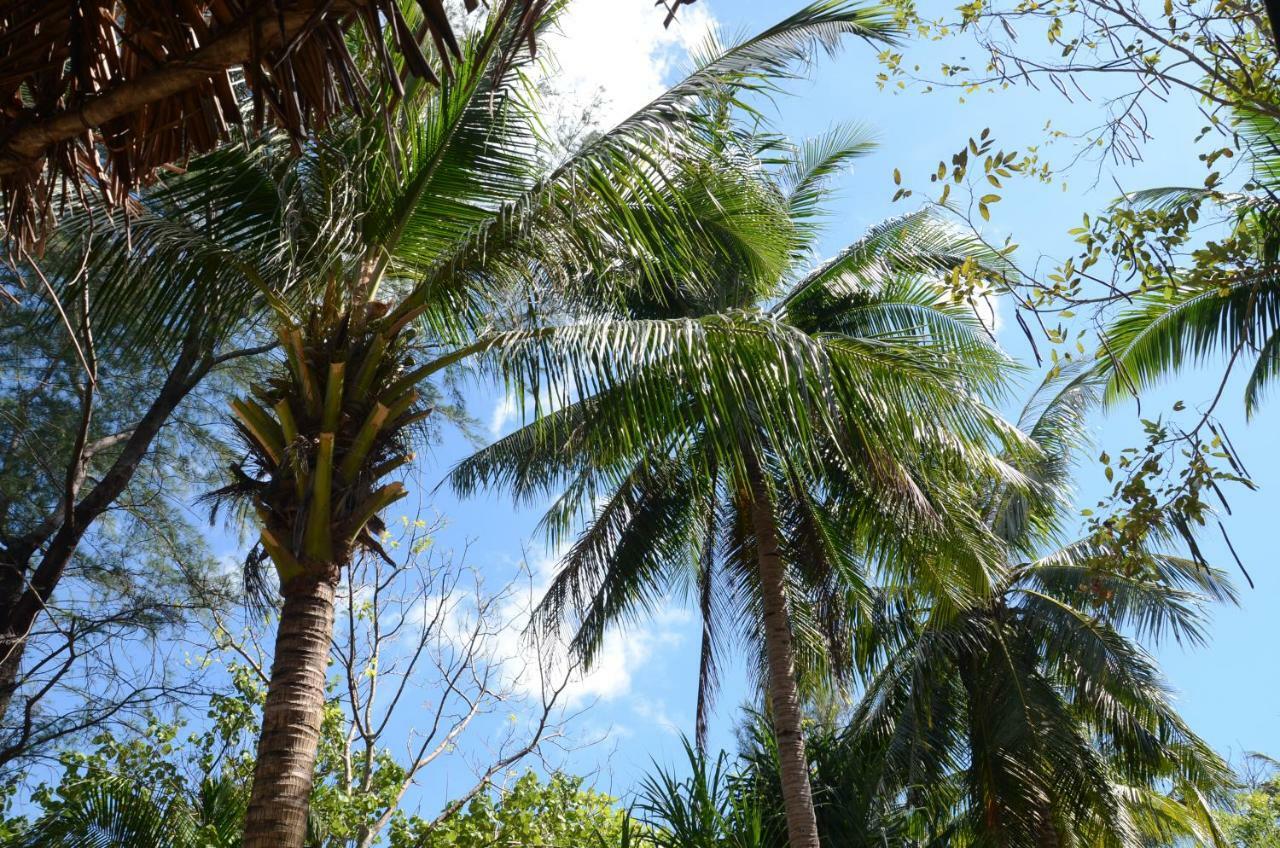 Готель Reggae Island Private Island Ко-Фаям Екстер'єр фото